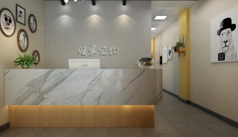 現代簡(jiǎn)約寵物店前臺